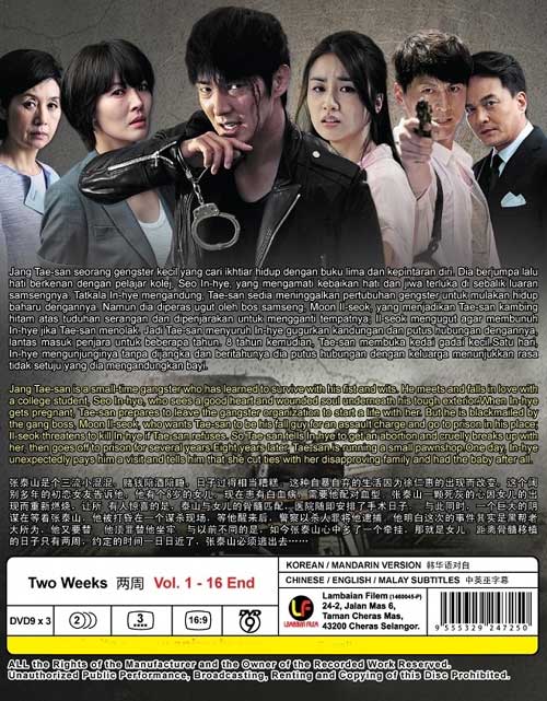 two-weeks-dvd-korean-tv-drama-2013-episode-1-16-end-cast-by-lee-jun-ki-park-ha-sun
