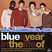 Blue: A Year in the Life of 2002 - Music VCD