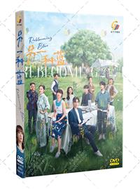 Reblooming Blue (DVD) (2024) China Movie